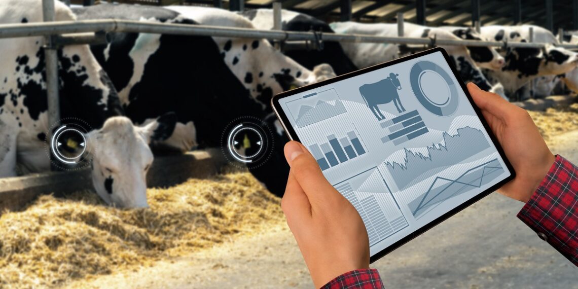 Digiteerimine loomakasvatuses – asi iseeneses või põllumajandus 4.0? Foto: Shutterstock
