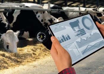 Digiteerimine loomakasvatuses – asi iseeneses või põllumajandus 4.0? Foto: Shutterstock