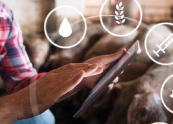 Nutitehnoloogiad seakasvatuses. Foto: Shutterstock