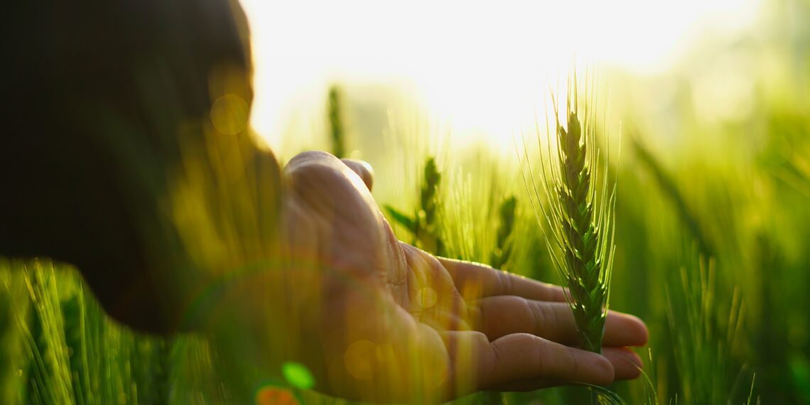 PRIA toimekas detsember. Foto: Shutterstock
