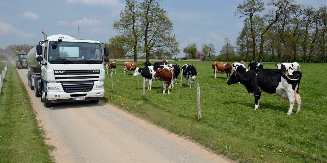 Põllumajandusettevõtte kasutuses olevaid raskeveokeid ei käsitleta maksustamisel teistmoodi kui näiteks veoettevõtete omi. Foto: Shutterstock