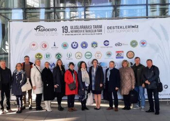 Türtgi turg. Foto: EPKK