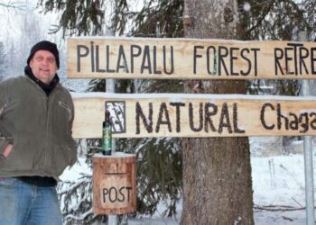 Natural Chaga. Foto: Robin Gurney erakogu