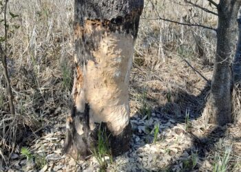 Jahieeskirja ootab ees kolm suuremat muudatust. Foto: Marju Kaasik / Kliimaministeerium