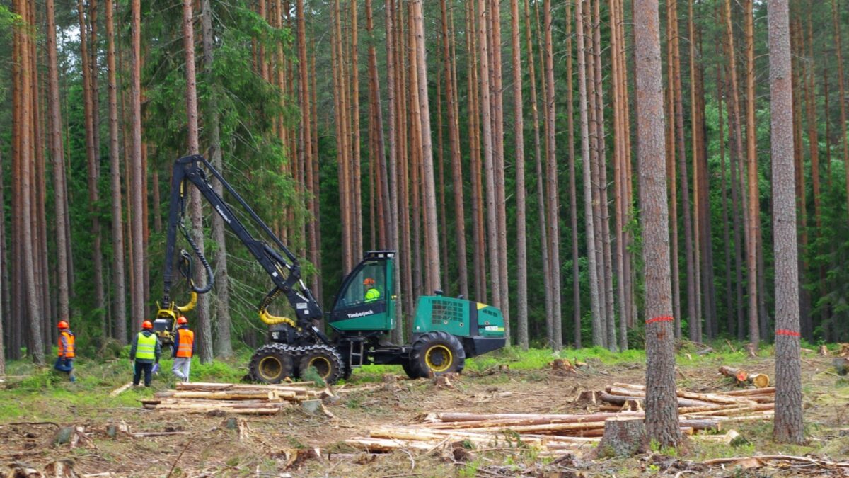 Euroopa rohelise kokkuleppe elluviimine suurendab metsaomanike jaoks riski, et metsa majandamisele võivad kehtima hakata senisest rangemad piirangud. Foto: Keskühistu Eramets