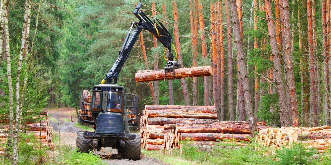 Metsanduspoliitika. Foto: Shutterstock