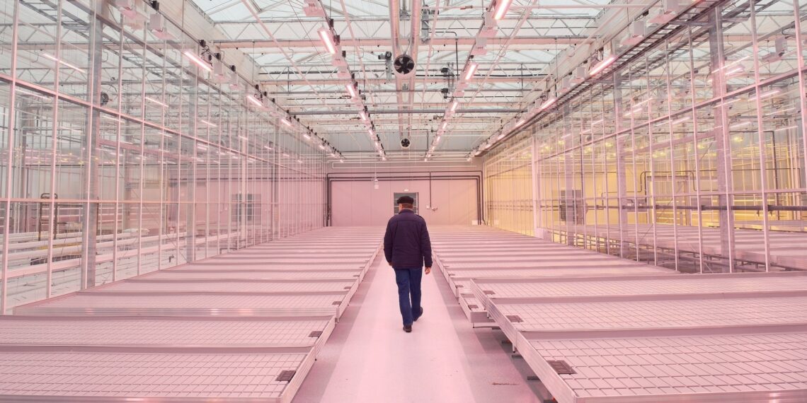 20. märtsil 2024 avati Maaelu Teadmuskeskuse kaasaegne kasvuhoone, kus hakatakse tegelema aastaringselt sordiaretusega. METK Venlo kasvuhoone avamine, 20. märtsil 2024 Foto: Hendrik Osula