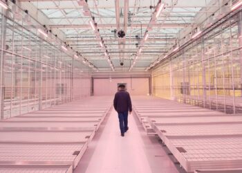 20. märtsil 2024 avati Maaelu Teadmuskeskuse kaasaegne kasvuhoone, kus hakatakse tegelema aastaringselt sordiaretusega. METK Venlo kasvuhoone avamine, 20. märtsil 2024 Foto: Hendrik Osula