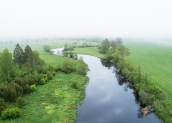 Hinnanguliselt on Eestis haritavalt maalt veekogudesse jõudev inimtekkeline lämmastikukoormus 20 000 tonni aastas. Seetõttu tuleb väetamisel rõhku panna lämmastiku leostumise vähendamisele. Foto: Shutterstock