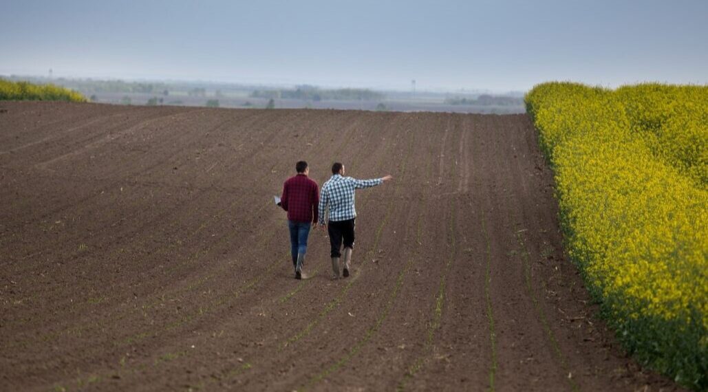 Olulised muudatused nõuandeteenustes. Foto: Shutterstock