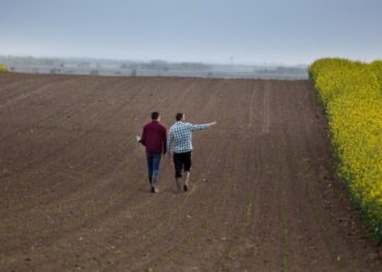 Olulised muudatused nõuandeteenustes. Foto: Shutterstock