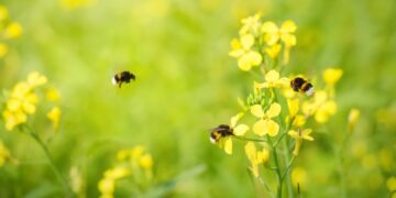 Natura 2000 on üleeuroopaline kaitsealade võrgustik, mille eesmärk on tagada haruldaste või ohustatud lindude, loomade ja taimede ning nende elupaikade ja kasvukohtade säilimine pikas perspektiivis. Foto: Shutterstock