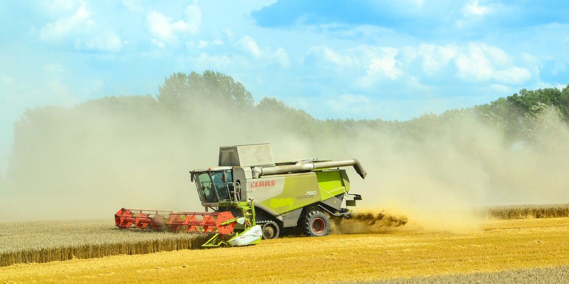 Põllumehed loodavad sellelt aastalt paremat saaki. Foto: Pixabay