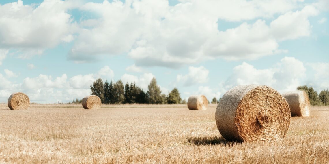 Maaelu teadmuskeskuse laborid. Foto: Shutterstock