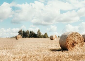 Maaelu teadmuskeskuse laborid. Foto: Shutterstock