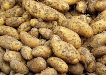 Valitsus kinnitas muudatused ja uued erandid taimekasvatajatele. Foto: Pixabay