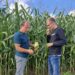 Lõuna-Eestis võib sööda varumisega rahul olla, saartel mitte. Hummuli Agro OÜ taimekasvatusjuht Martin Hammerbeck ja Are Selge maisi küpsust hindamas. Foto: Hummuli Agro
