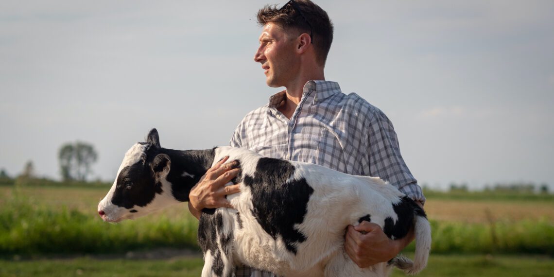 Põllumajandusliku tegevusega alustava noore ettevõtja toetust taotleb 124 noortalunikku. Foto: Shutterstock