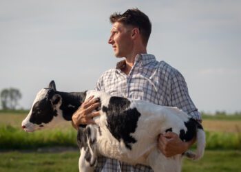 Põllumajandusliku tegevusega alustava noore ettevõtja toetust taotleb 124 noortalunikku. Foto: Shutterstock