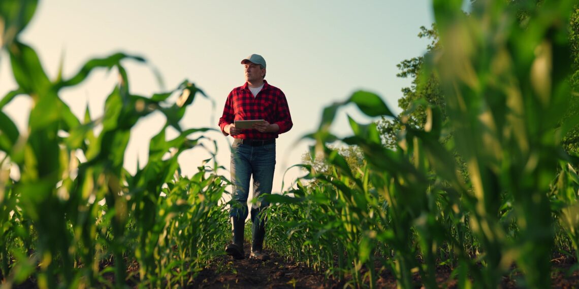 Põllumajandustootjad pöördusid kohalike omavalitsuste poole palumaks mõistvat suhtumist maamaksu määrade kehtestamisel põllu- ja metsamaale. Foto: Shutterstock