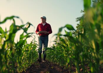 Põllumajandustootjad pöördusid kohalike omavalitsuste poole palumaks mõistvat suhtumist maamaksu määrade kehtestamisel põllu- ja metsamaale. Foto: Shutterstock