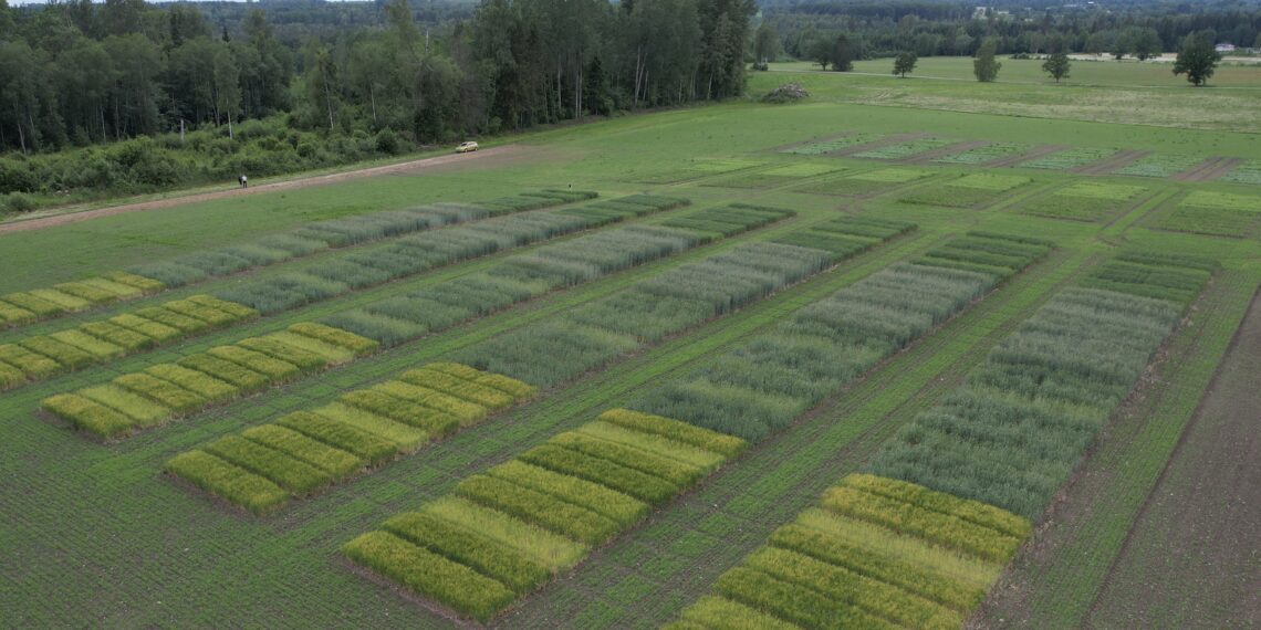 Väetamise ABC 2023–2027. Foto: METK