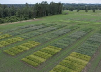 Väetamise ABC 2023–2027. Foto: METK