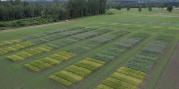 Väetamise ABC 2023–2027. Foto: METK