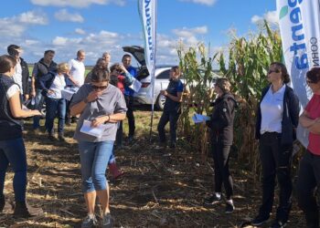 Kevili taimekasvatusspetsialist Tiiu Annuk vahendab muljeid septembris lõunanaabrite juures toimunud maisikasvatuse põllupäevalt. Lätis toimunud põllupäeval räägiti nii maisisortidest kui ka umbrohutõrjest ja kahjuritest. Foto: erakogu