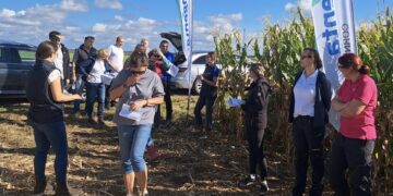 Kevili taimekasvatusspetsialist Tiiu Annuk vahendab muljeid septembris lõunanaabrite juures toimunud maisikasvatuse põllupäevalt. Lätis toimunud põllupäeval räägiti nii maisisortidest kui ka umbrohutõrjest ja kahjuritest. Foto: erakogu