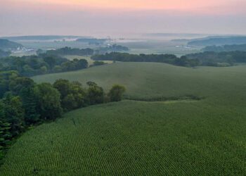 Maaelu Edendamise Sihtasutus: Eesti maaelu arengukava (MAK) rahastamisvahendi laenutingimused muutusid ettevõtjale soodsamaks. Foto: MES