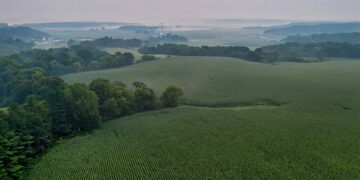 Maaelu Edendamise Sihtasutus: Eesti maaelu arengukava (MAK) rahastamisvahendi laenutingimused muutusid ettevõtjale soodsamaks. Foto: MES