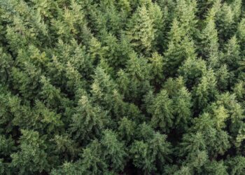 Euroopa Liidu ühise põllumajanduspoliitika Eesti strateegiakava 2023–2027 II muudatused. Foto: Pixabay / Goumbik