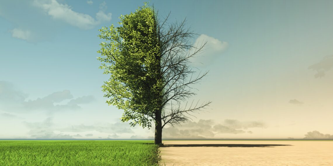 Euroopa ühise põllumajanduspoliitika tulevikuvalikud. Foto: Shutterstock