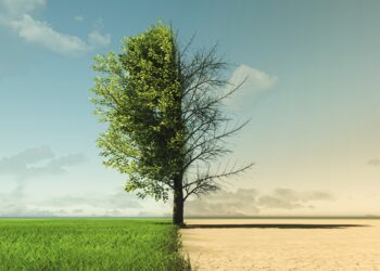 Euroopa ühise põllumajanduspoliitika tulevikuvalikud. Foto: Shutterstock