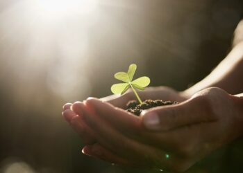 Eesti Põllumajandus-Kaubanduskoda (EPKK) on koondanud tagasiside ja ettepanekud kliimakindla majanduse seaduse (KliimaS) eelnõu kohta. Foto: Shutterstock