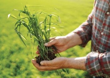 TeknEST OÜ teeb tihedat koostööd loomasöötade, silokindlustuslisandite jms arendus- ja tootmisfirmaga Schaumann.