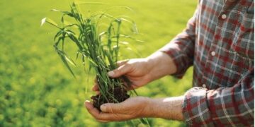 TeknEST OÜ teeb tihedat koostööd loomasöötade, silokindlustuslisandite jms arendus- ja tootmisfirmaga Schaumann.