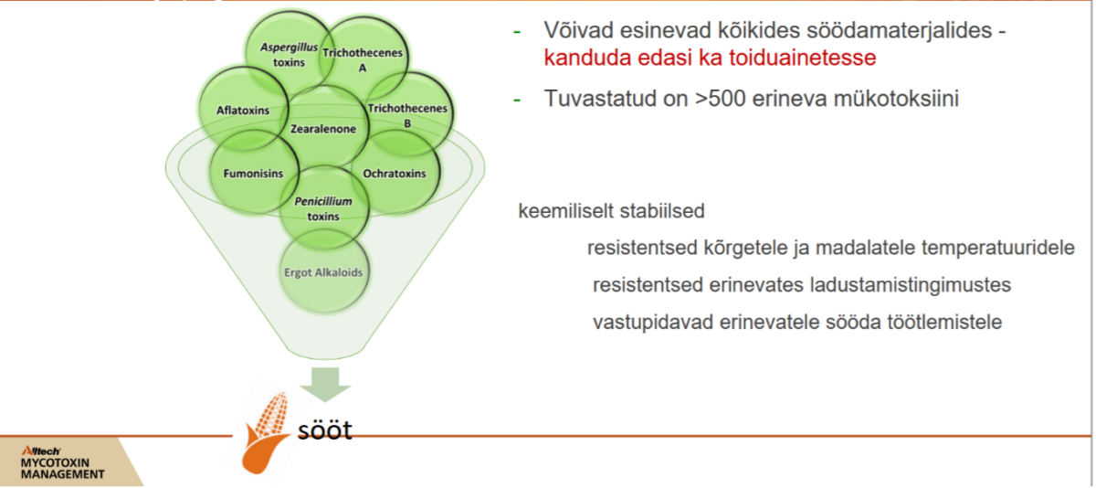 Mükotoksiinid. Allikas: Alltech Eesti