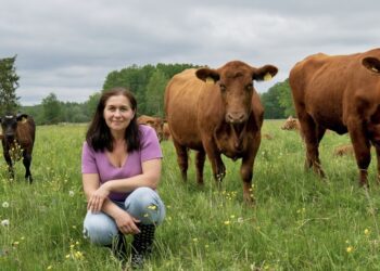 Taastav põllumajandus. Foto: MTÜ Liivimaa Lihaveis eestvedaja Airi Külvet. Foto: Sven Arbet /Scanpix