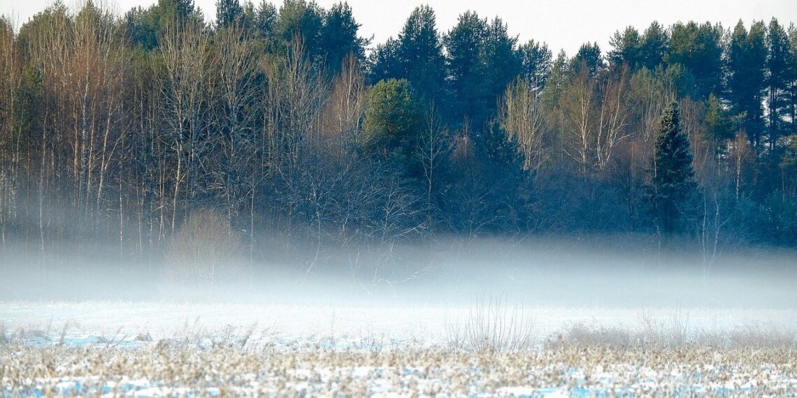 PRIA kinnitas 2024. aasta otsetoetuste ühikumäärad, toetused makstakse välja hiljemalt 2024. aasta jõuludeks. Foto: Pixabay