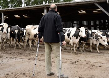 Riik toetab kalandusettevõtete sisenemist välisturgudele. Foto: Shutterstock