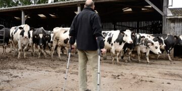 Riik toetab kalandusettevõtete sisenemist välisturgudele. Foto: Shutterstock