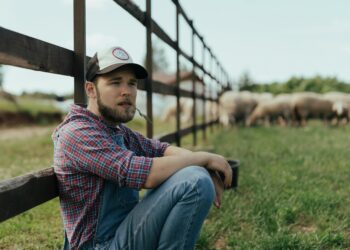 18–40-aastased huvilised saavad 31. märtsini kandideerida noorte põllumajandus- ja toidutootjate arenguprogrammi. Foto: Cottonbro Studio, Pexels