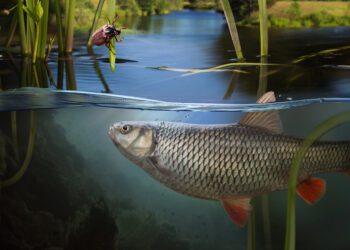 Riik toetab kalandusettevõtete sisenemist välisturgudele. Foto: Shutterstock