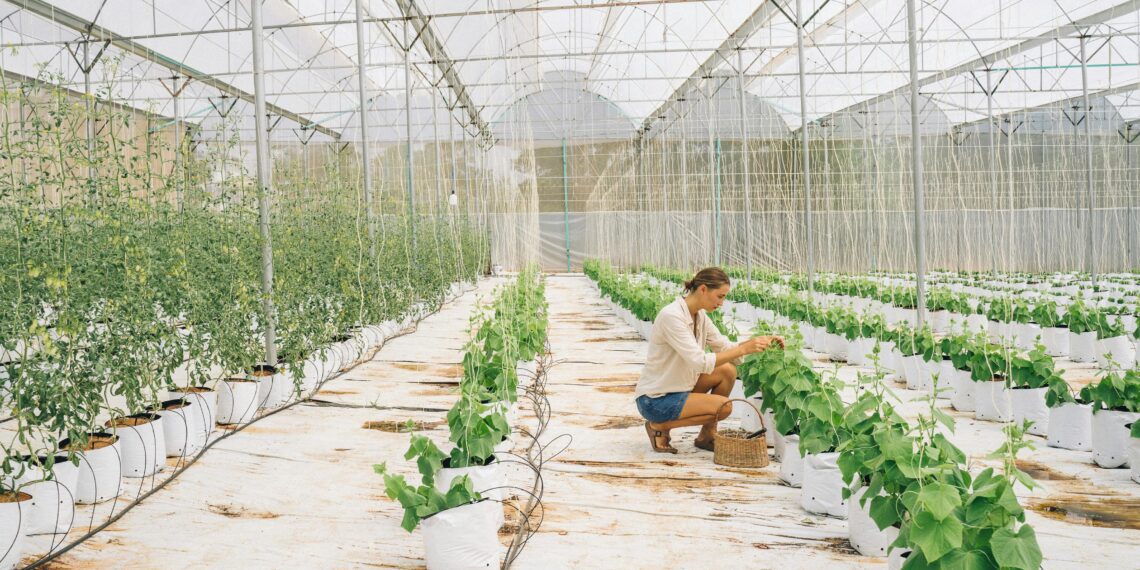 Tänavu saab PRIA-st taotleda mitmesuguseid toetusi, mille abil on võimalik vajalikke investeeringuid ellu viia. Foto: Anna Tarazevich, Pexels