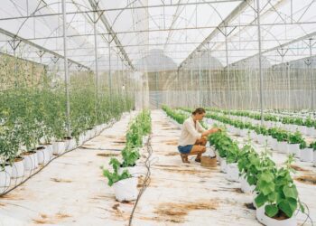 Tänavu saab PRIA-st taotleda mitmesuguseid toetusi, mille abil on võimalik vajalikke investeeringuid ellu viia. Foto: Anna Tarazevich, Pexels