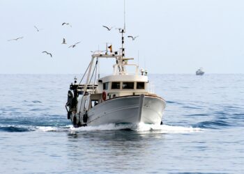 Kutselised kalurid saavad taotleda toetust. Foto: shutterstock