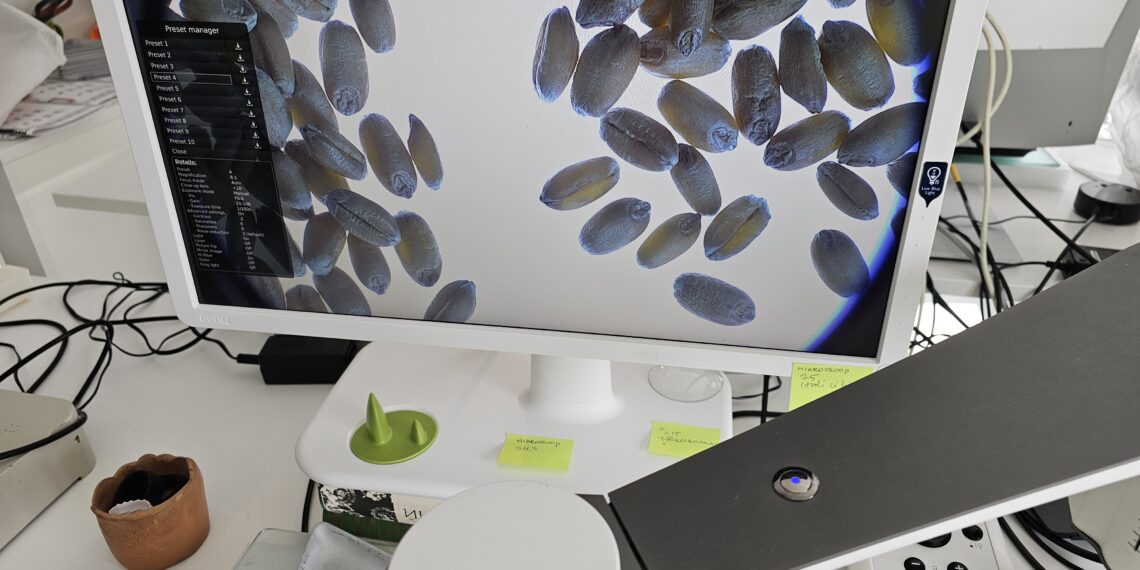 Labor pakub põllumehele ja aednikule võimalust veenduda, et külviks oleks kvaliteetne seeme. Foto: METK