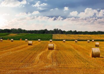 Toetus on suunatud ettevõtete rohepöörde eesmärkide täimisele. Foto: Pixabay